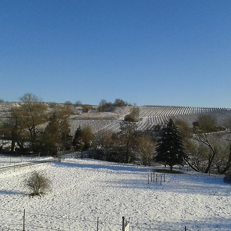 Weingut Hans Bausch Apartment Хатенхайм Екстериор снимка