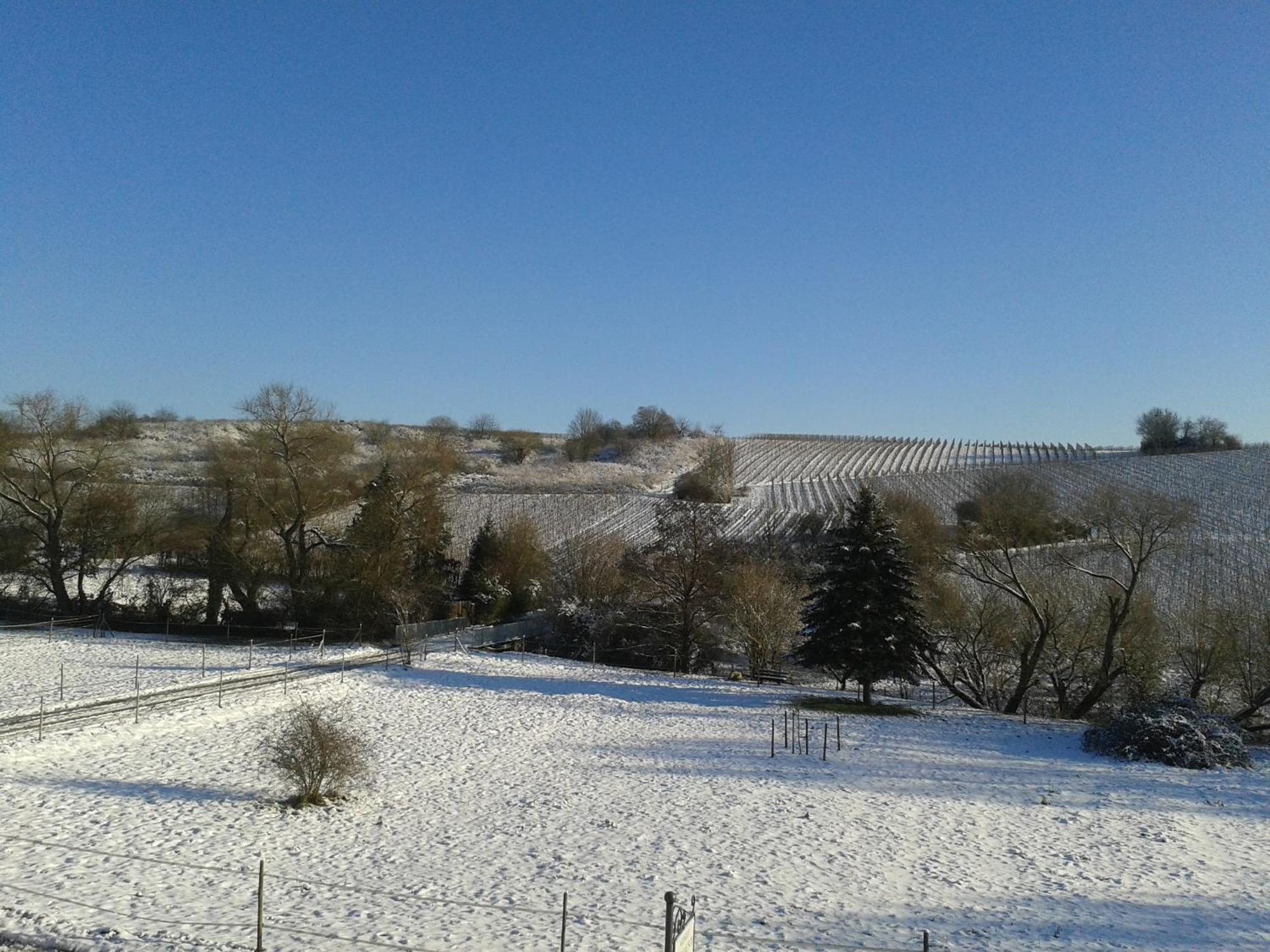 Weingut Hans Bausch Apartment Хатенхайм Екстериор снимка